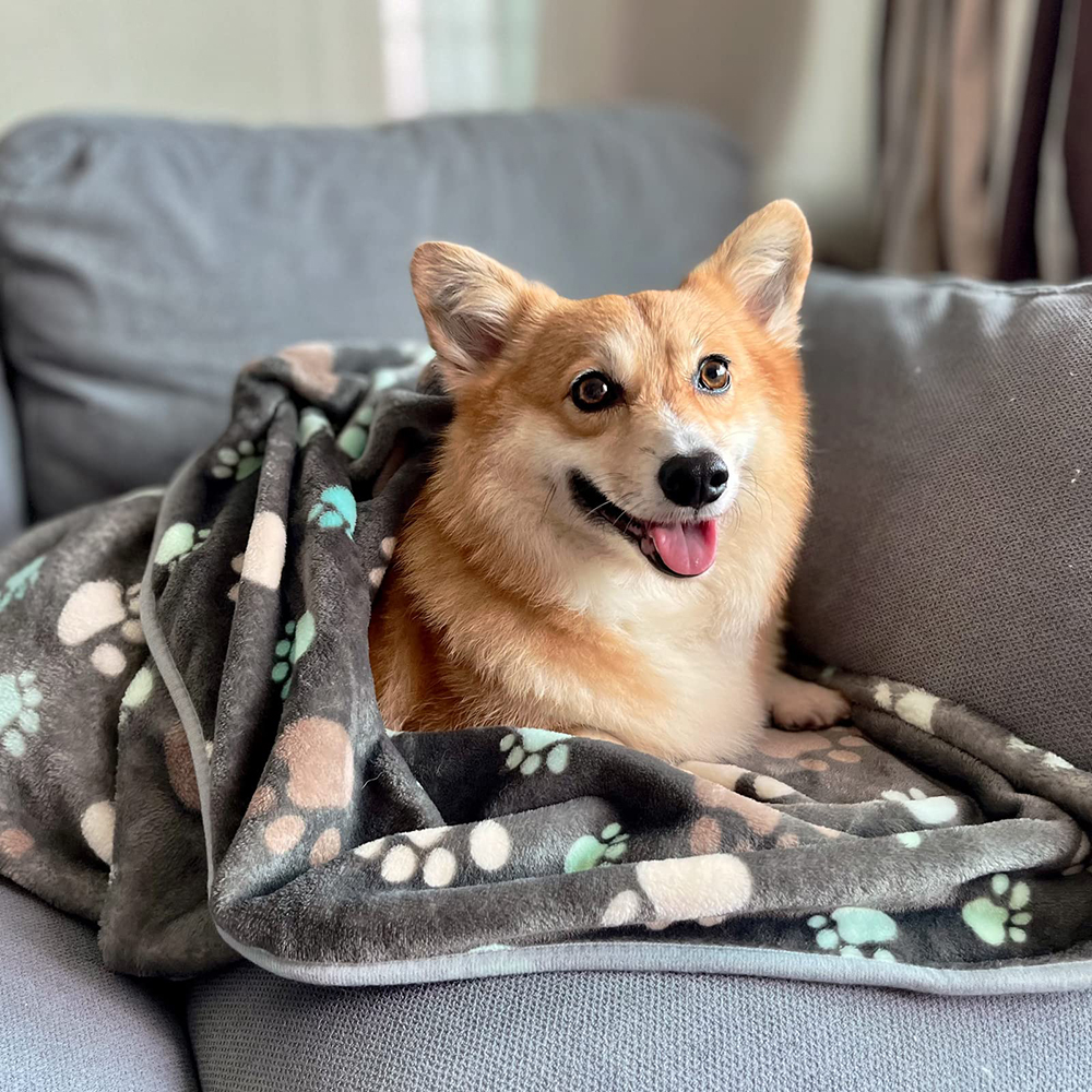 Printed Flannel Dog Blanket