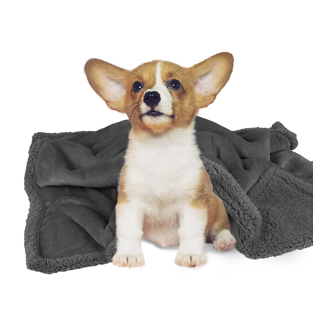 Pet Blanket